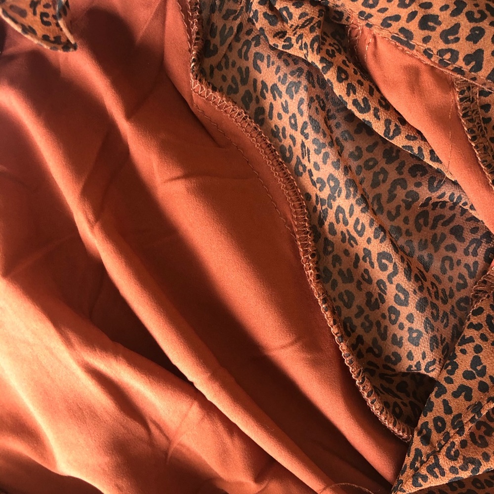 TCEC Cheetah Dress - Picture 5 of 9